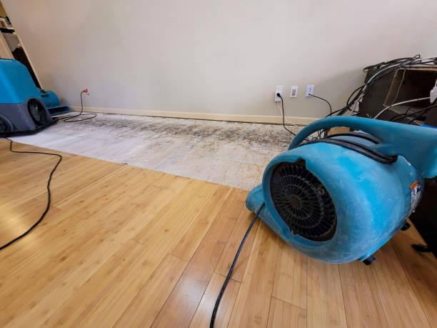 Professional Basement Flood Cleanup technician working in Independence, MO